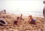 beach 3 * 1181 x 803 * (86KB)